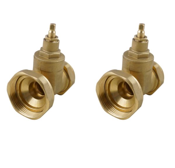 Gate Type Pump Valve 22mm